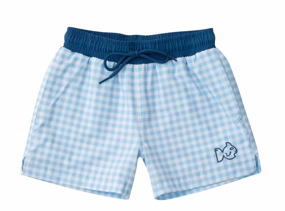 NEW PRODOH boy's boogie board swim trunk in sky blue gingham